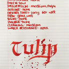 Diamine-Flower Collection 30 Ml Mürekkep Tulip-Şişe Mürekkep-2-Milagron.com