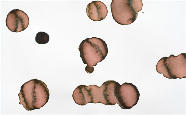 Diamine-Inkvent Purple Collection Mürekkep 50ml Weeping Willow-Şişe Mürekkep-4-Milagron.com