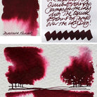 Diamine-Writer's Blood Dolmakalem Mürekkebi (Reddit Special) 80 Ml-Şişe Mürekkep-2-Milagron.com