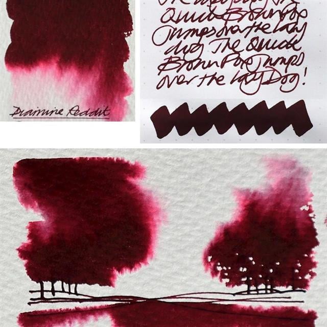 Diamine-Writer's Blood Dolmakalem Mürekkebi (Reddit Special) 80 Ml-Şişe Mürekkep-2-Milagron.com
