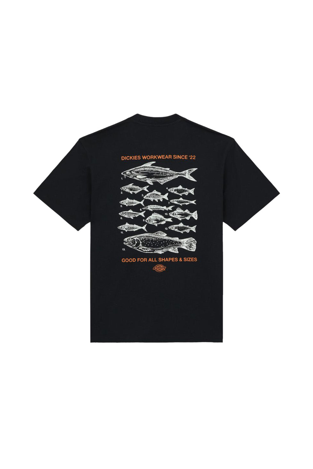 Dickies-Laryvillle Tee Ss Erkek Siyah T-Shirt-T-Shirts-8-Milagron.com