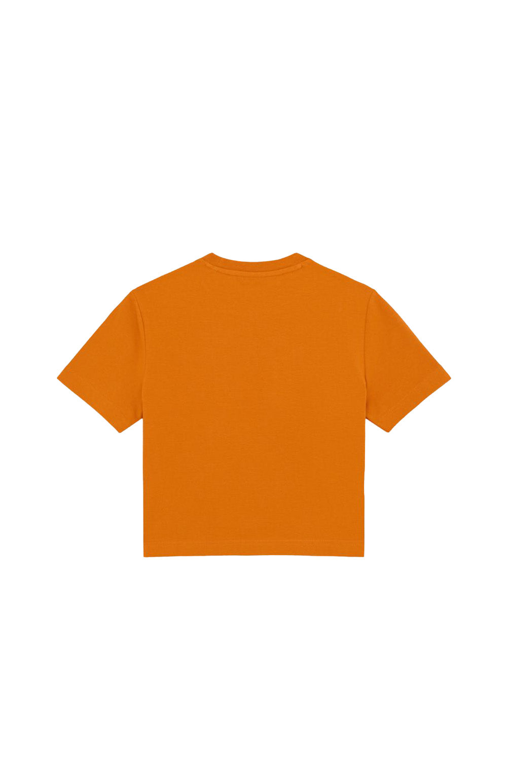 Dickies-Maple Valley Tee Country Kadın Turuncu T-Shirt-T-Shirts-5-Milagron.com