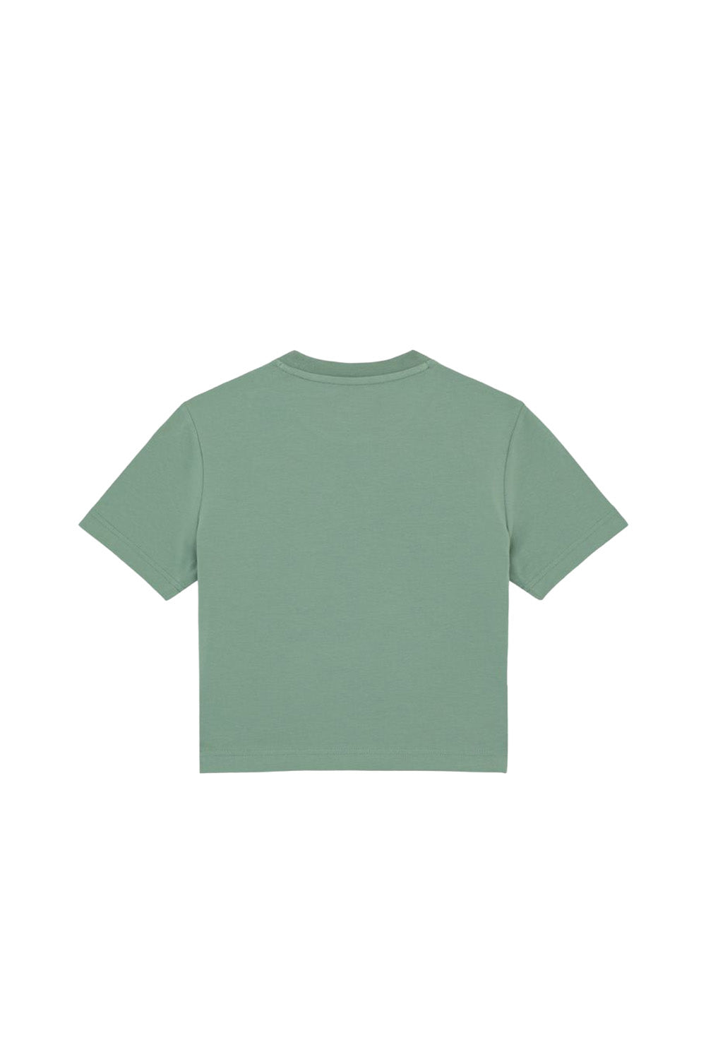 Dickies-Maple Valley Tee Country Kadın Yeşil T-Shirt-T-Shirts-5-Milagron.com