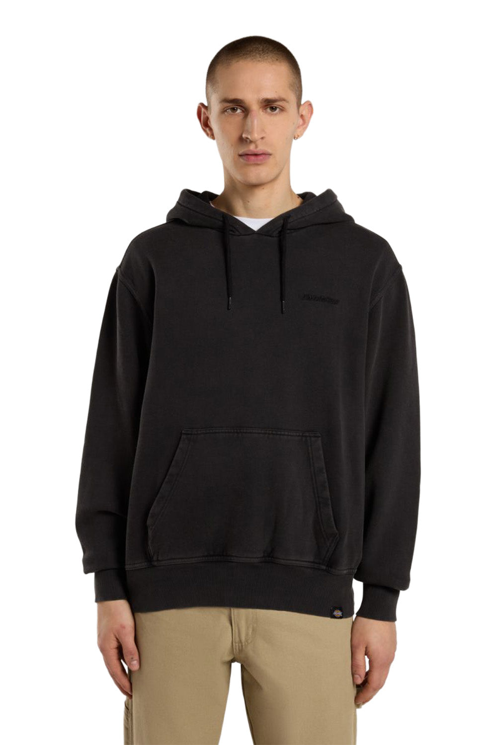 Dickies-Plentywood Hoodie Erkek Kapüşonlu Siyah Sweatshirt-Sweatshirts & Hoodies-1-Milagron.com