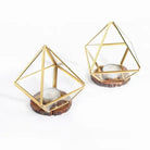 El Crea Designs-Pirinç Gold Geometrik Teraryum Cam Fanus Aksesuar Çikolata Kutusu 13x10x10cm-Biblo-3-Milagron.com