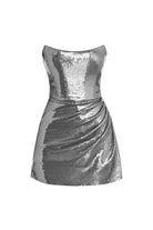Esotte-Ally Gümüş Payetli Elbise-Elbise-1-Milagron.com