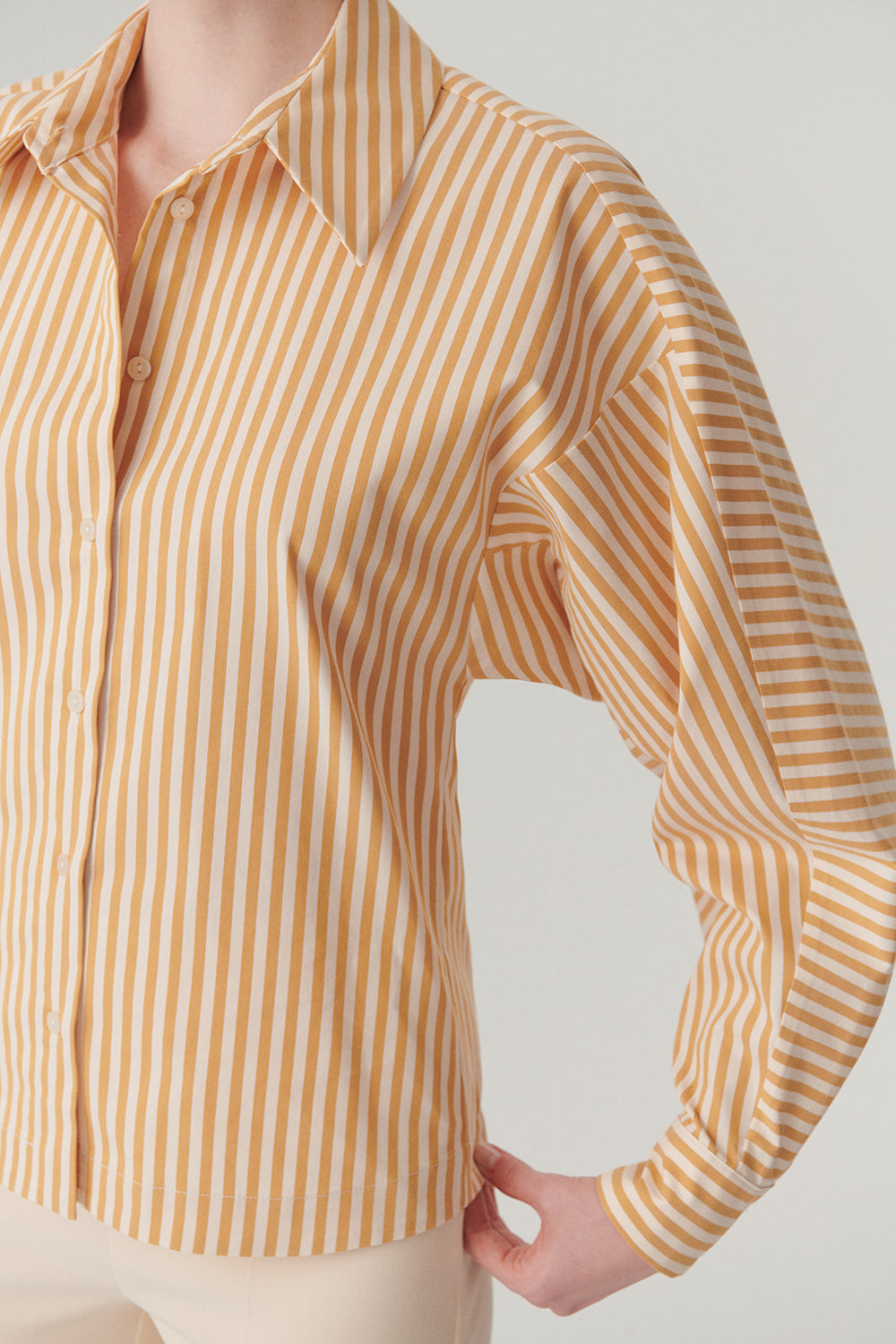 Exquise-Pamuklu Belden Oturtmalı çizgili Regular Fit Gömlek-Gömlek-5-Milagron.com