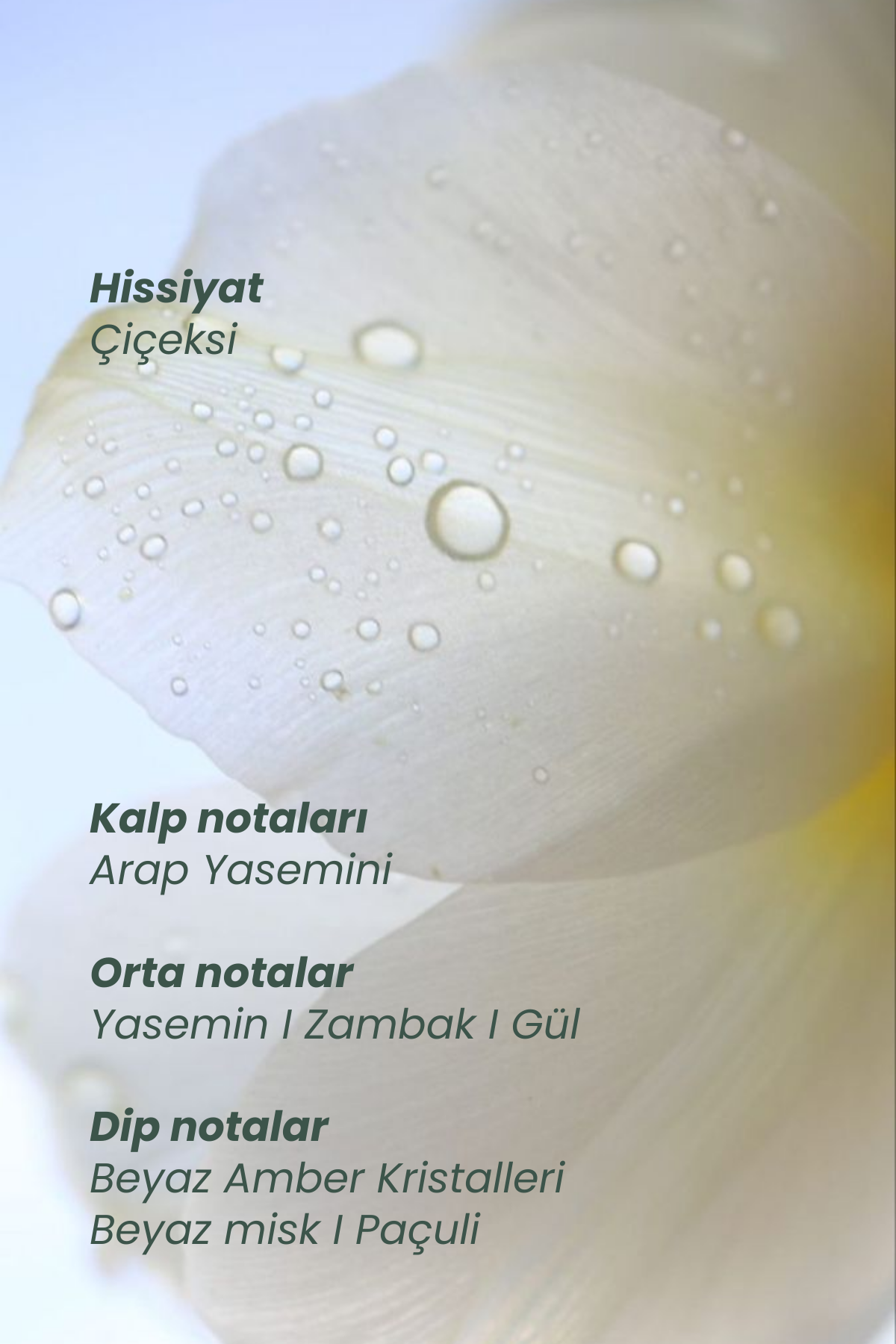 Fifth Sense Lingerie-Myth Hair Perfume-3-Milagron.com