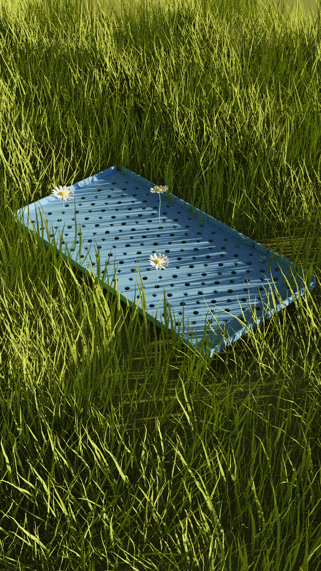 Daisy Tray (S)