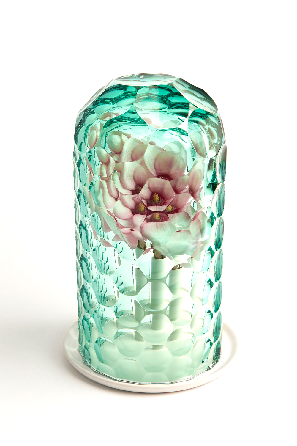 Op Vazo - Medium - 2