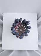 Superbloom Vase Large Rainbow + Black
