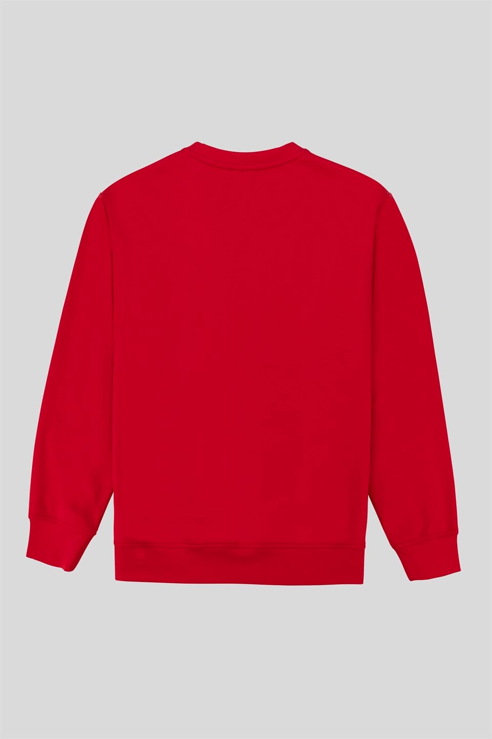 GMG Firenze-Bisiklet Yaka Baskılı Regular Fit Erkek Sweatshirt-Sweatshirts & Hoodies-7-Milagron.com