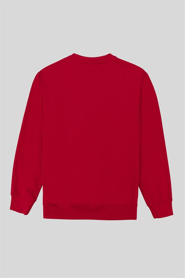 GMG Firenze-Bisiklet Yaka Baskılı Regular Fit Erkek Sweatshirt-SWEATSHIRT-14-Milagron.com
