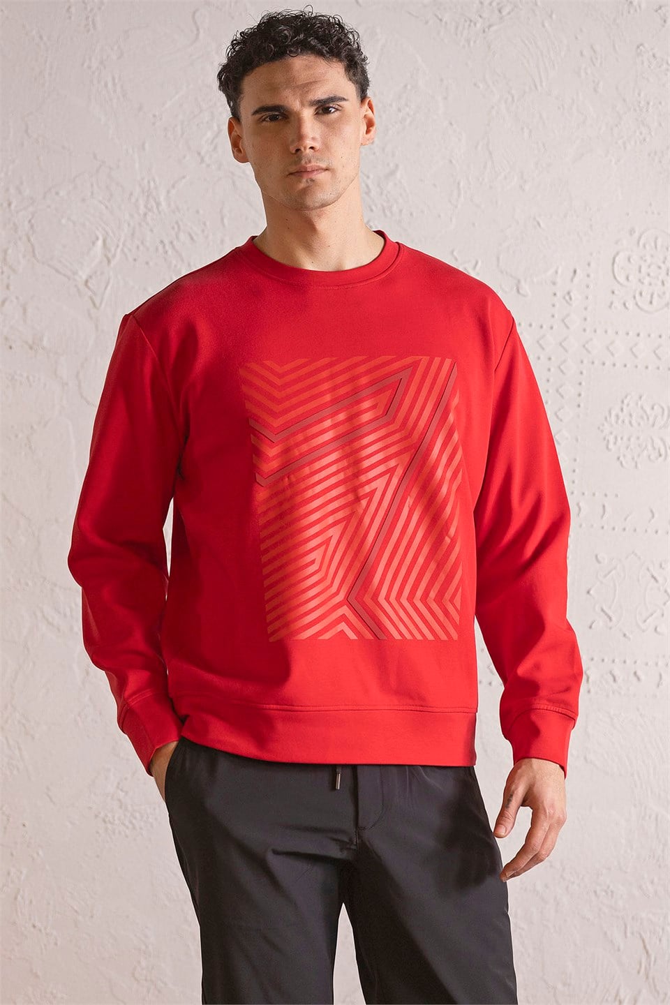 GMG Firenze-Bisiklet Yaka Geometrik Baskılı Erkek Sweatshirt-Winter'26-3-Milagron.com