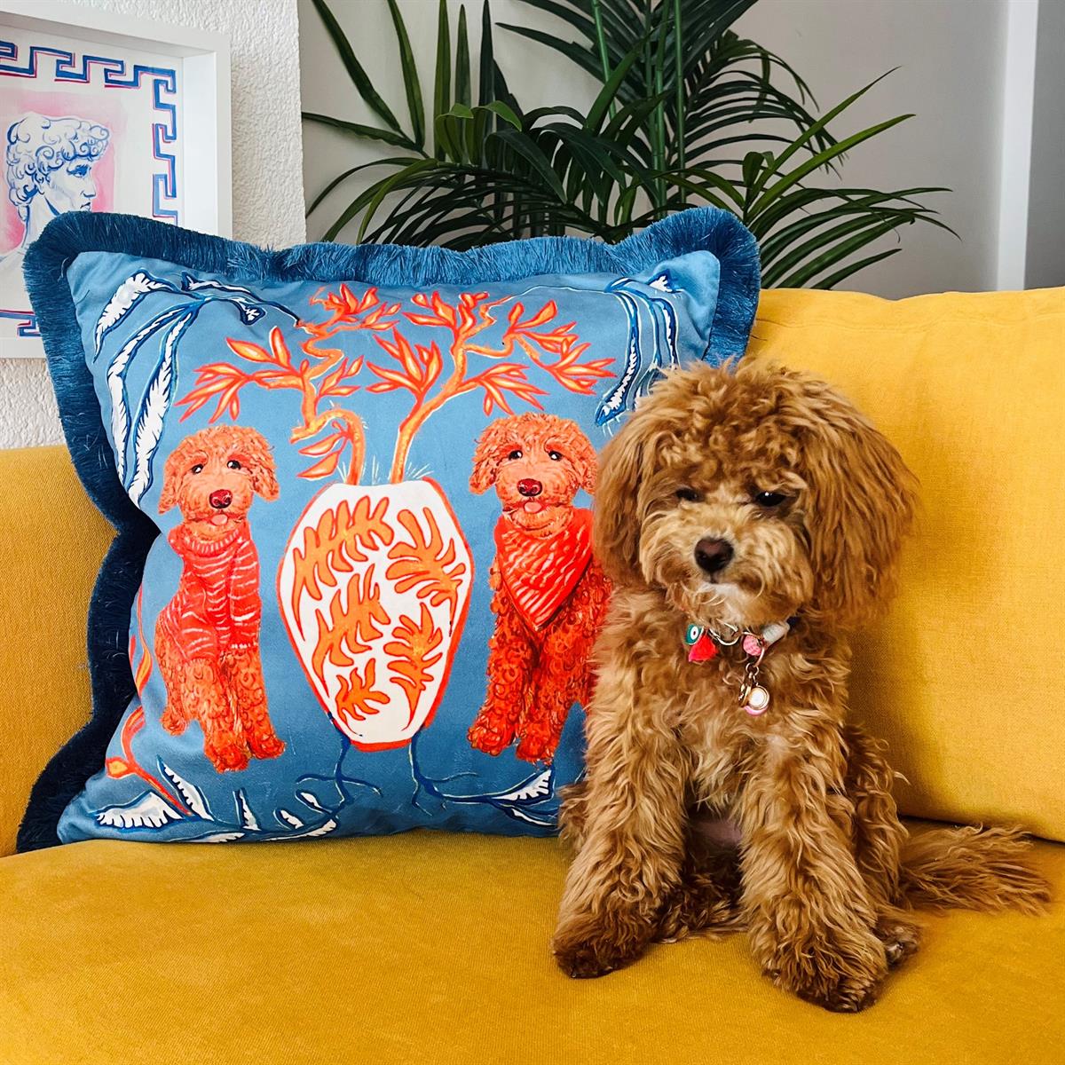 Poodle Köpek Desenli Kırlent - Özel Tasarım Kadife Yastık Kılıfı