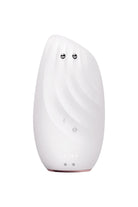 Geske-Mikro Akım Termal Yüz Temizleme Ve Cilt Sıkılaştırıcı Cihaz | Sonic Thermo Facial Brush Face Lifter-Cilt Bakım Aletleri-26-Milagron.com