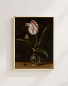 Balthasar Van Der Ast - Vazoda Tek Bir Lale