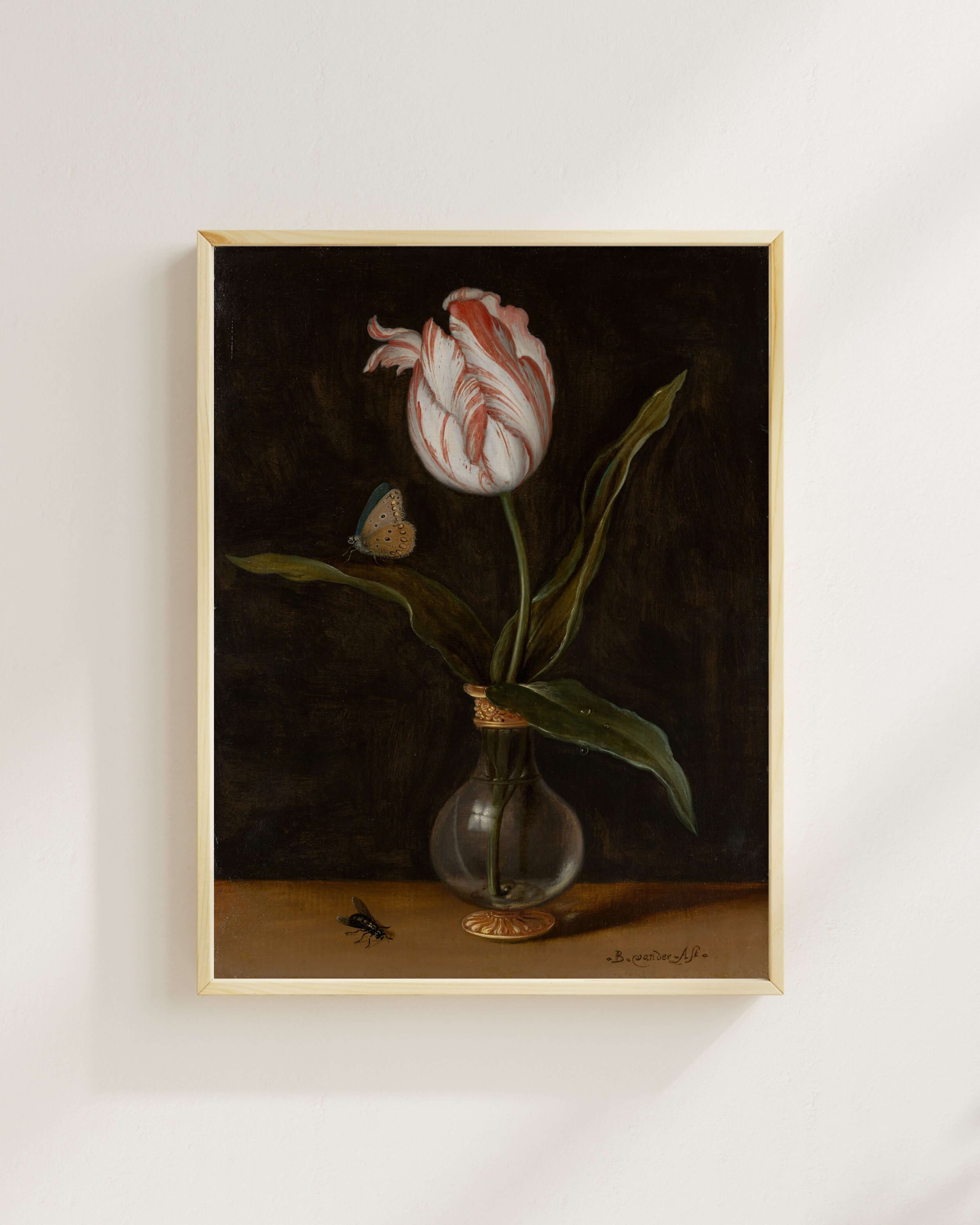 Balthasar Van Der Ast - Vazoda Tek Bir Lale