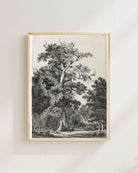 Eugène Bléry - Bois De Boulogne’Da Yaşlı Meşe