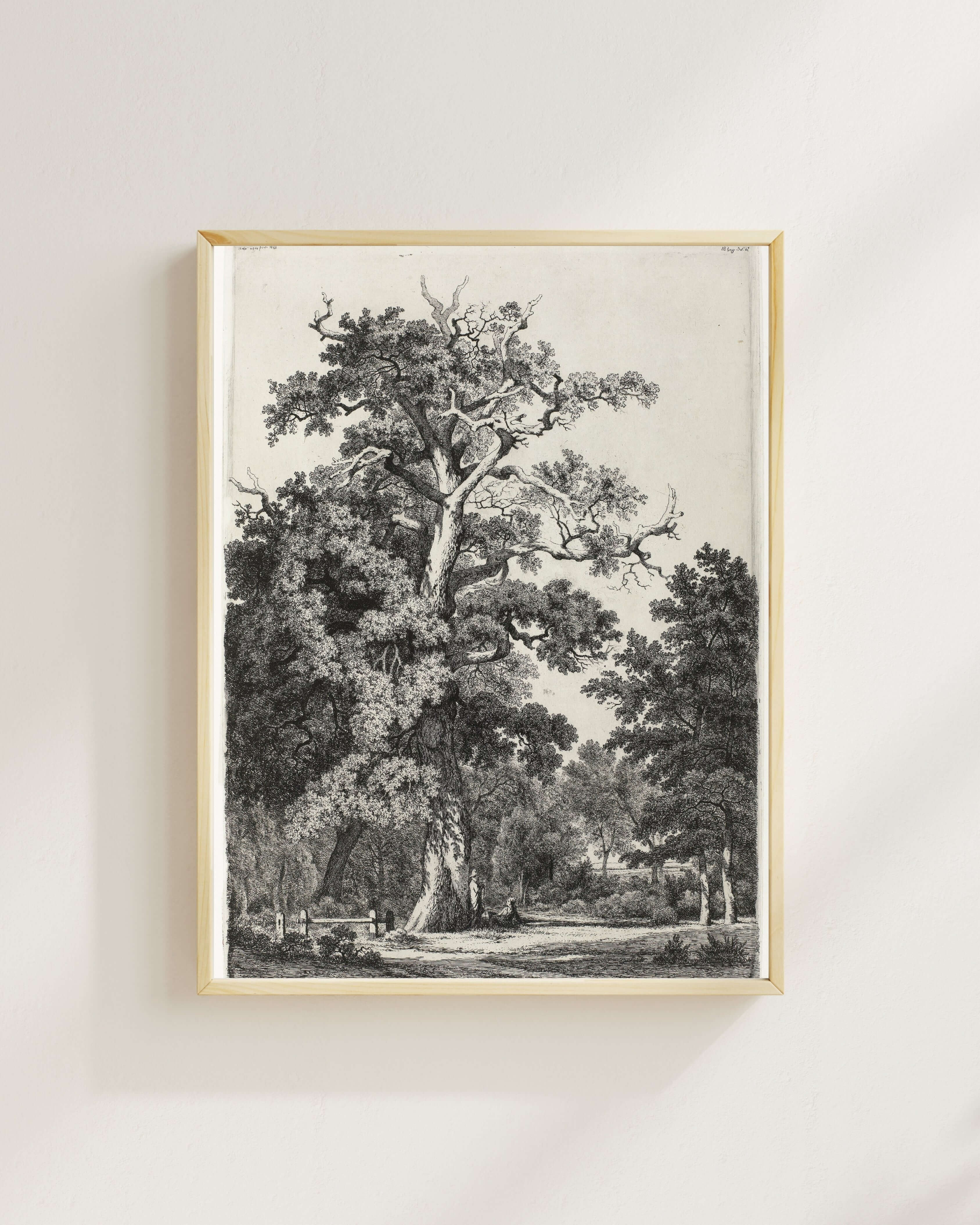 Eugène Bléry - Bois De Boulogne’Da Yaşlı Meşe