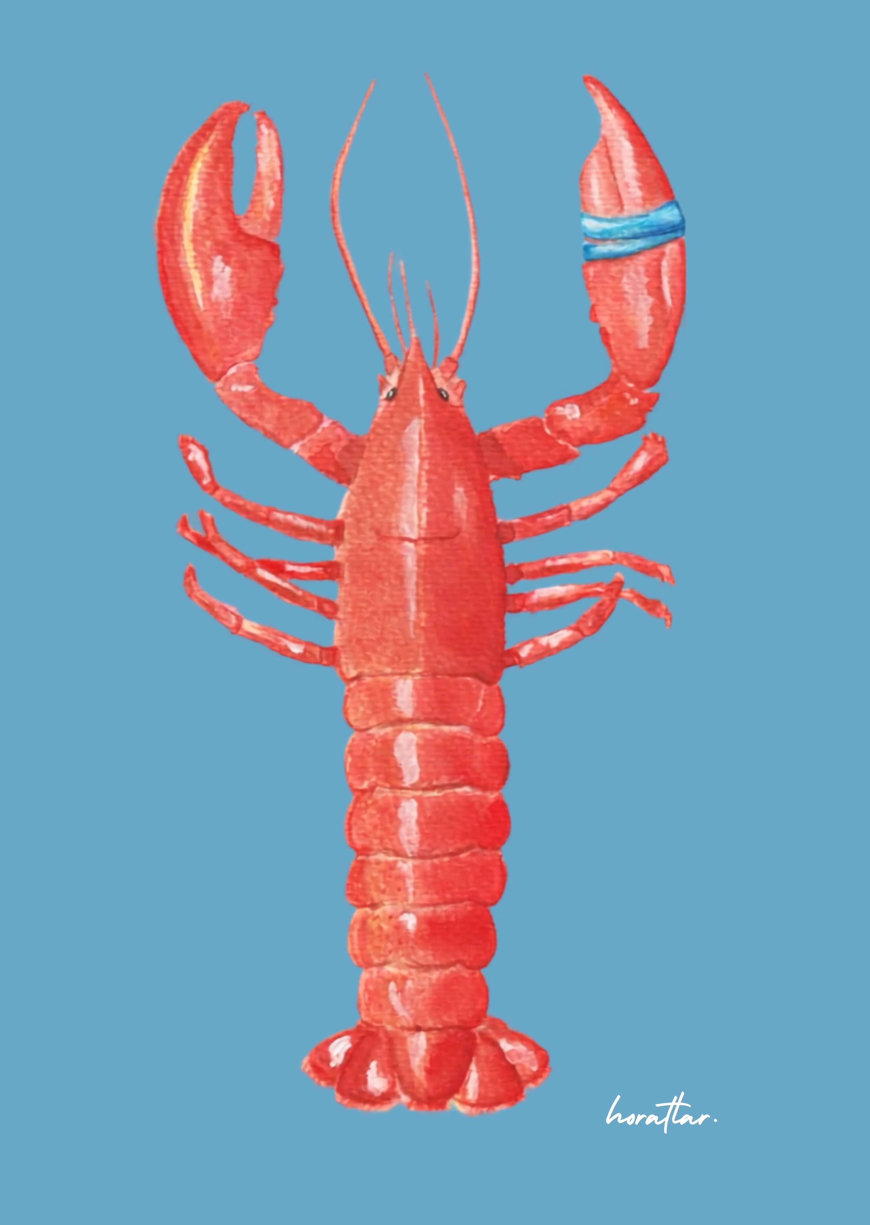Hazal Türer - Lobster (Blue)