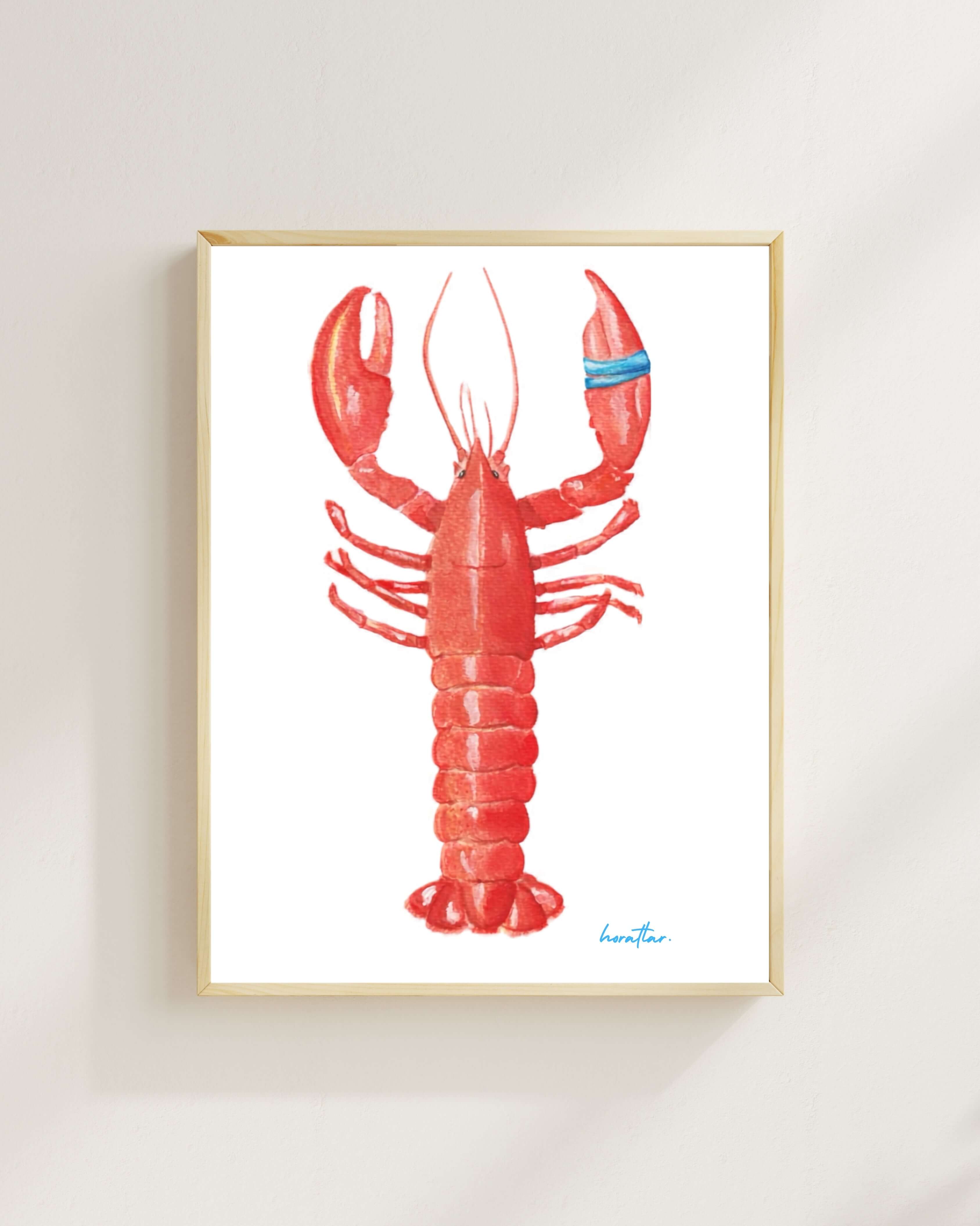 Hazal Türer - Lobster