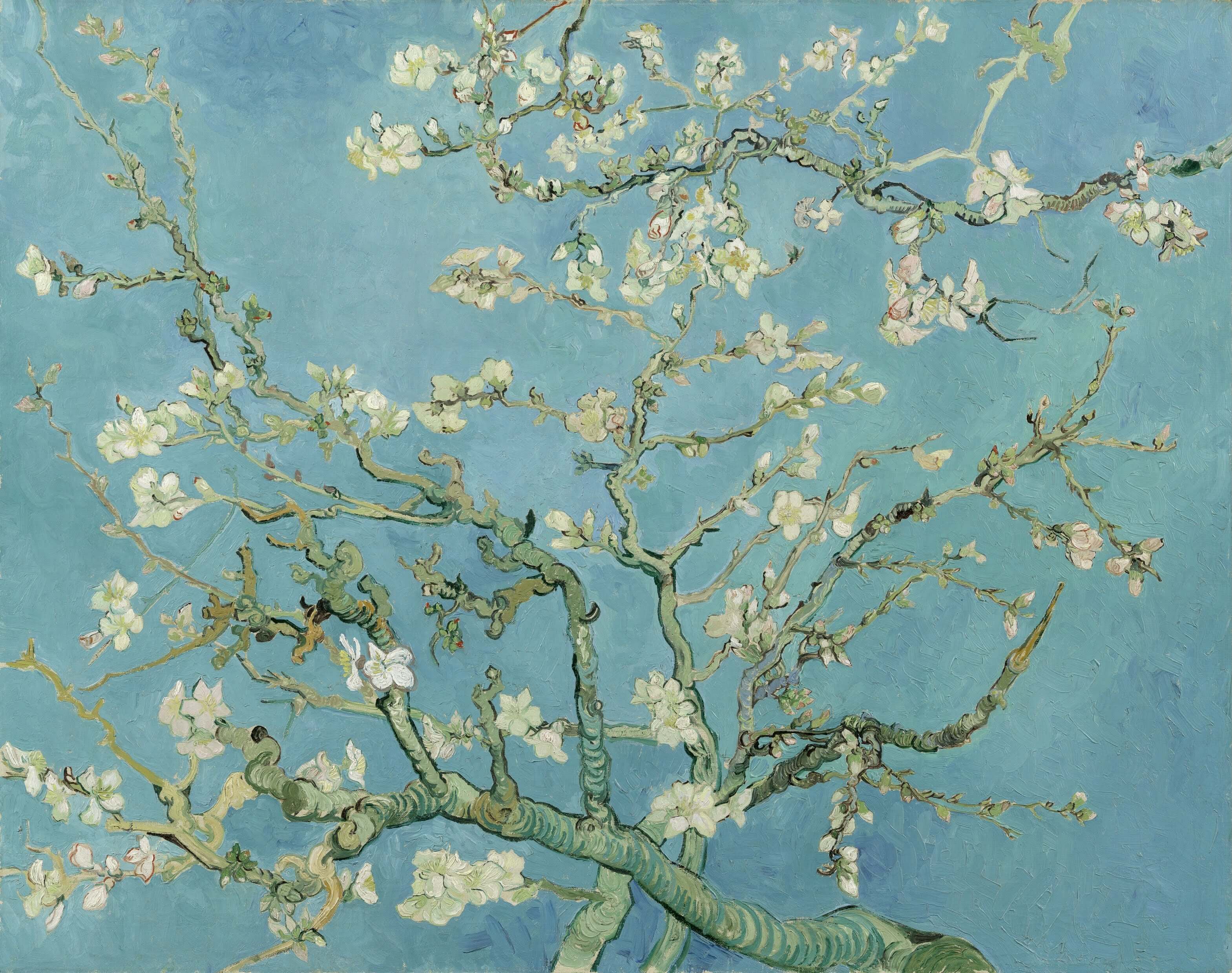 Vincent Van Gogh - Badem Çiçeği