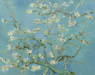 Vincent Van Gogh - Badem Çiçeği