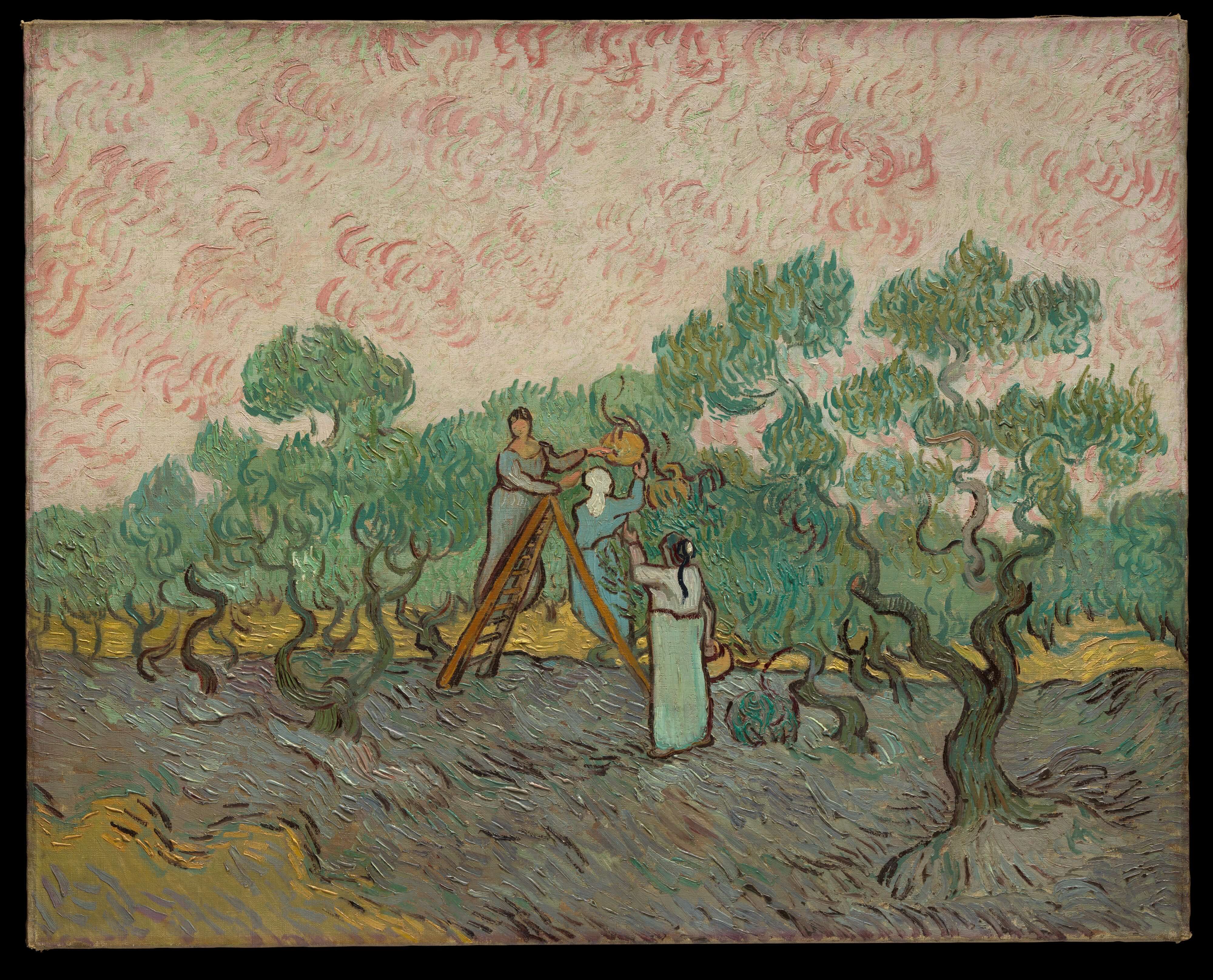 Vincent Van Gogh - Zeytin Toplayan Kadınlar
