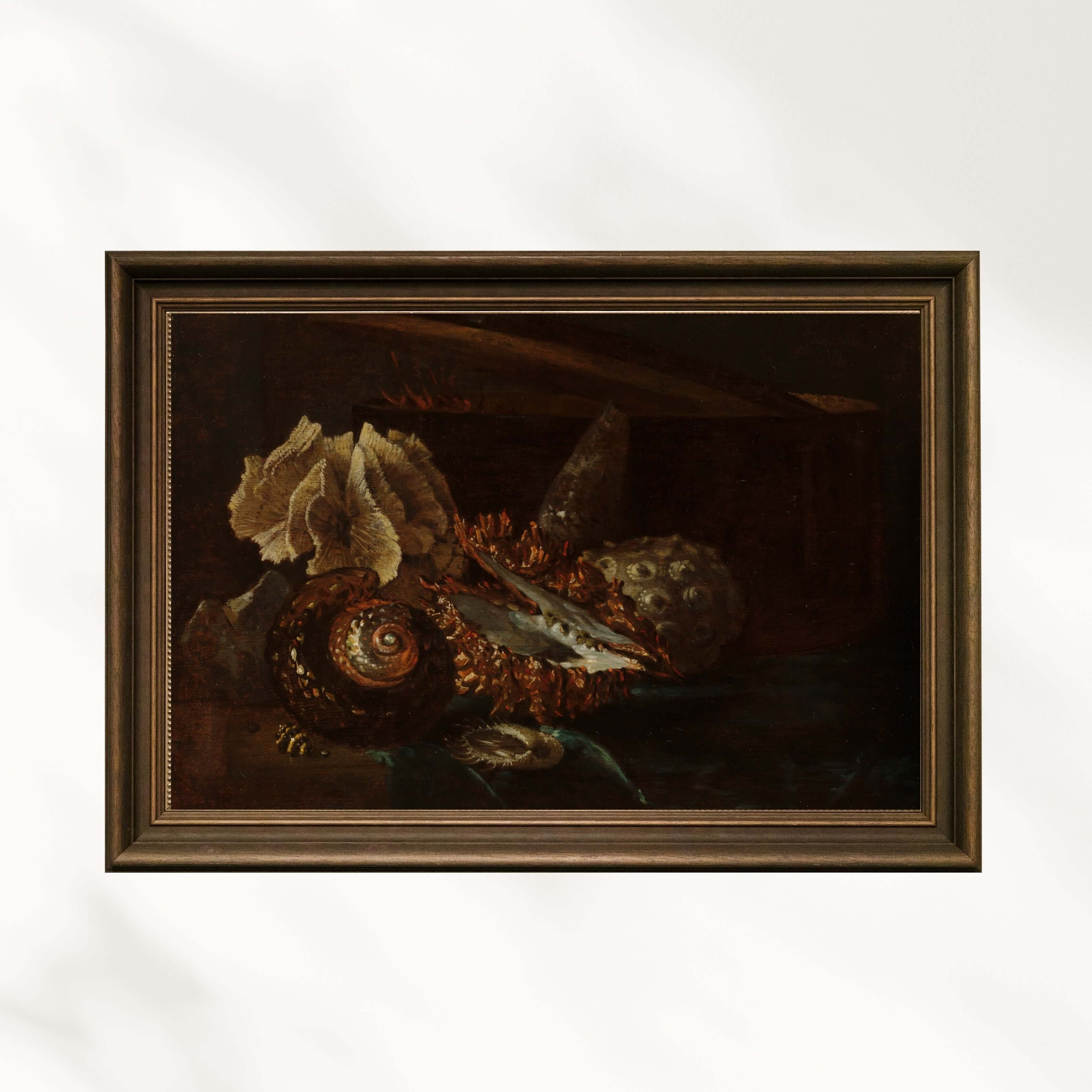 Willem Kalf - Deniz Kabukları Ve Mercan Ile Natürmort