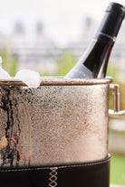 Chilly Nickel Şarap Soğutucu - 6