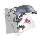 Holotoyz Sticker Super Sea Creatures Ar Uyumlu Etiket