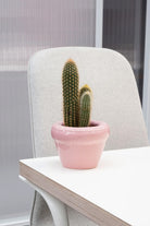 Home Studyo-Louıs-Bubblegum-Dekoratif Saksı-1-Milagron.com