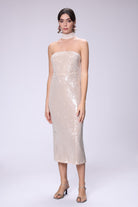 House of IKA-Payetli Straplez Elbise-Elbise-1-Milagron.com