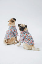 Hypet Fashion-Blue Floral Gömlek-Köpek-3-Milagron.com