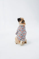 Hypet Fashion-Blue Floral Gömlek-Köpek-5-Milagron.com