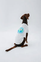 Hypet Fashion-Earth Tee-Köpek-2-Milagron.com