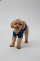 Hypet Fashion-Good Day Tee-Köpek-5-Milagron.com