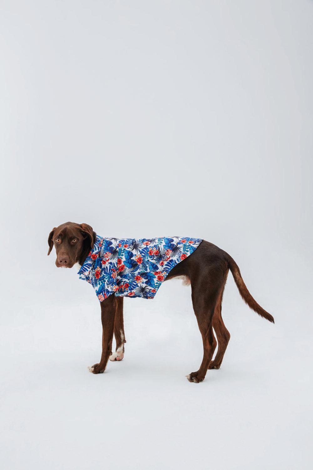 Hypet Fashion-Hawaii Gömlek-Köpek-3-Milagron.com