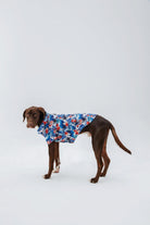 Hypet Fashion-Hawaii Gömlek-Köpek-3-Milagron.com