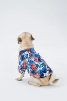 Hypet Fashion-Hawaii Gömlek-Köpek-4-Milagron.com