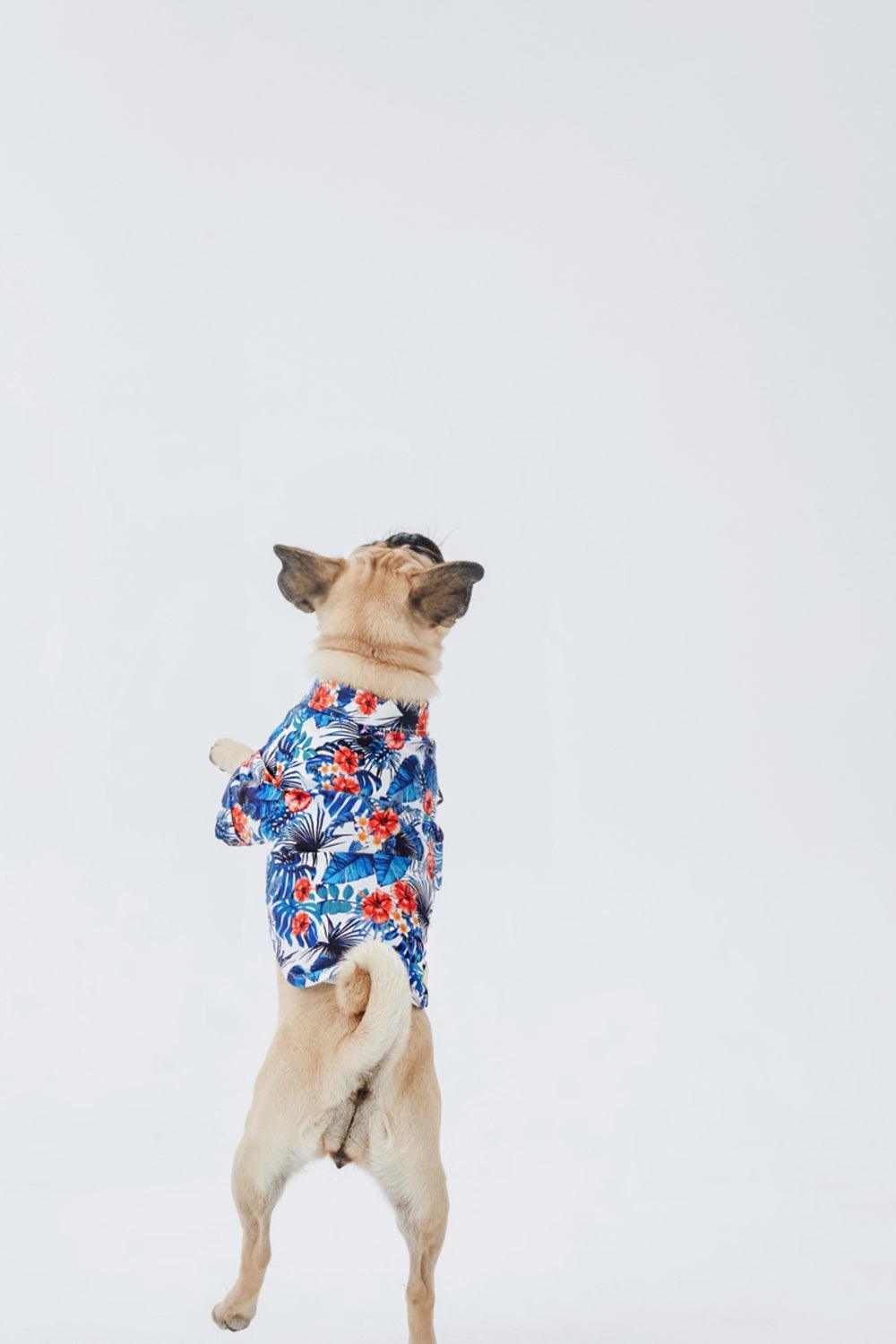 Hypet Fashion-Hawaii Gömlek-Köpek-6-Milagron.com