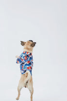 Hypet Fashion-Hawaii Gömlek-Köpek-6-Milagron.com