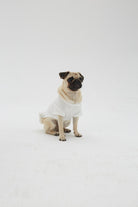 Hypet Fashion-Hot Dog Tee-Köpek-5-Milagron.com