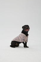 Hypet Fashion-Paisley Gömlek-Köpek-5-Milagron.com