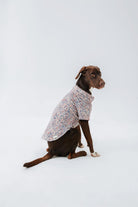 Hypet Fashion-Paisley Gömlek-Köpek-6-Milagron.com