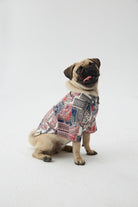 Hypet Fashion-Patchwork Gömlek-Köpek-3-Milagron.com