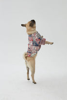 Hypet Fashion-Patchwork Gömlek-Köpek-4-Milagron.com