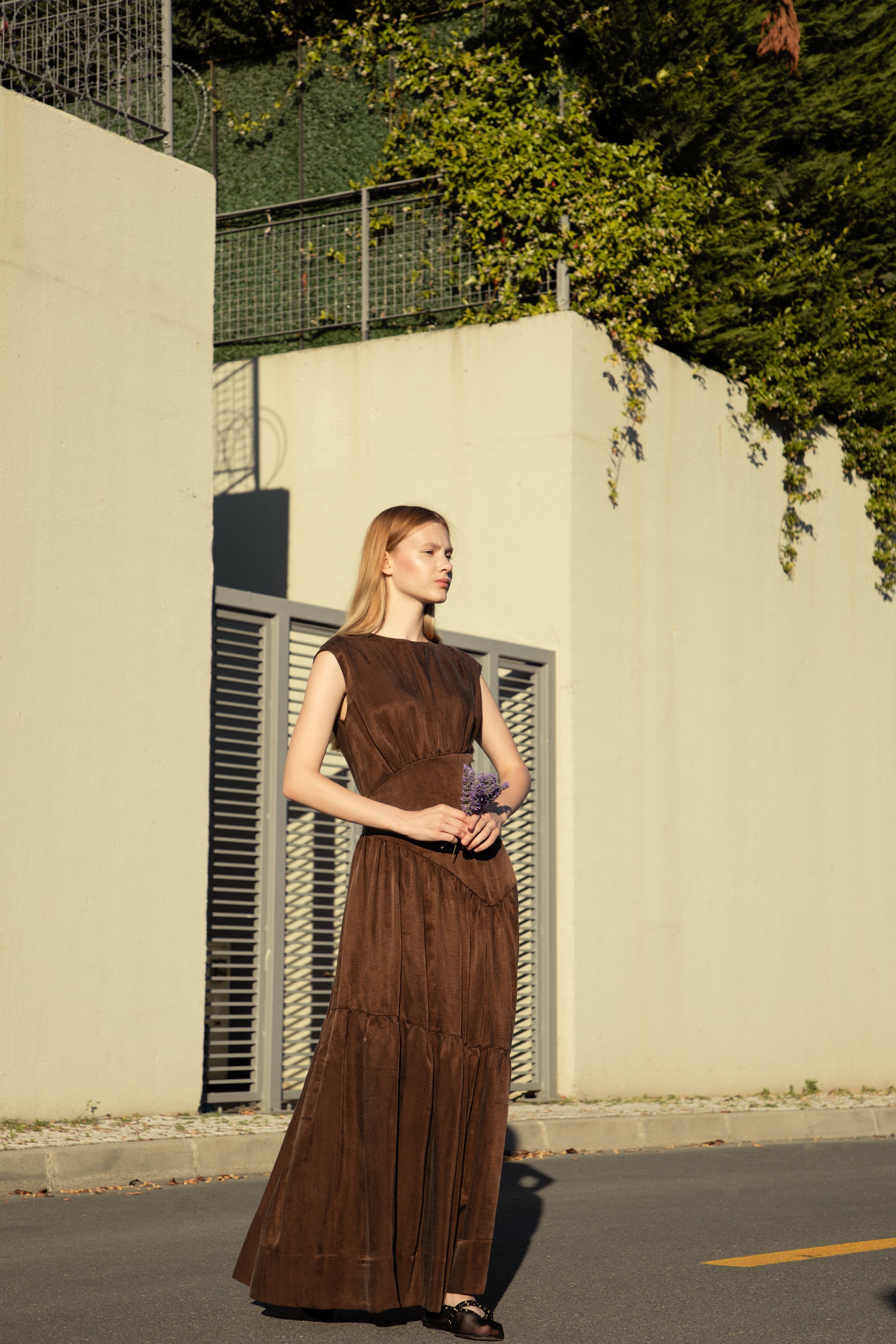 Bella Brown Maxi Dress