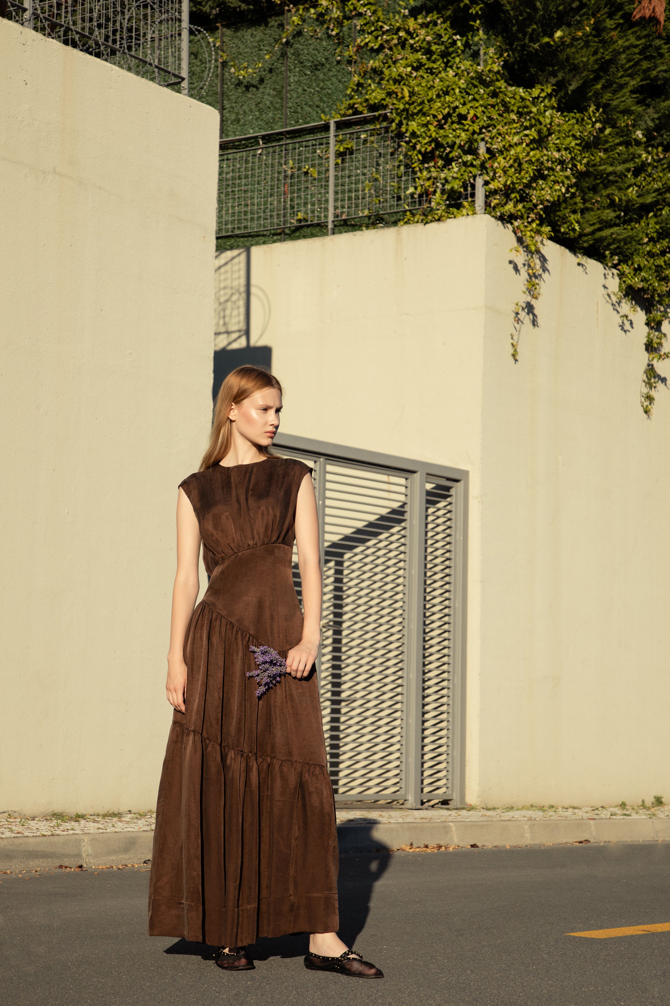 Bella Brown Maxi Dress